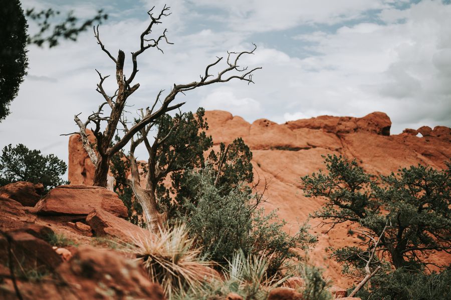 Garden of the Gods